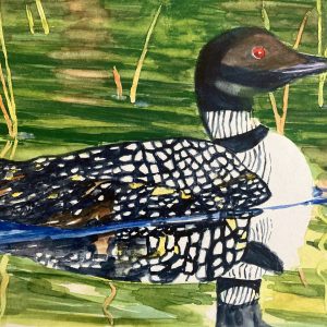 Loon - Julie Robataille