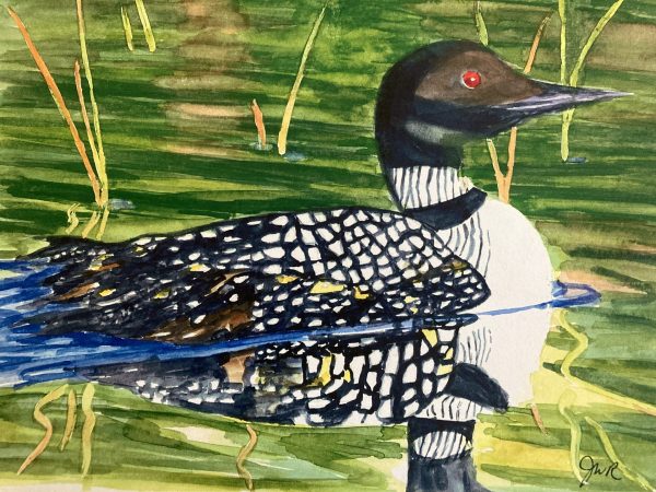 Loon - Julie Robataille