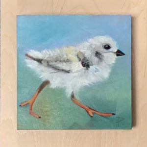 Fledgling #3 (Plover) - Andrea Pottyondy Stoffer